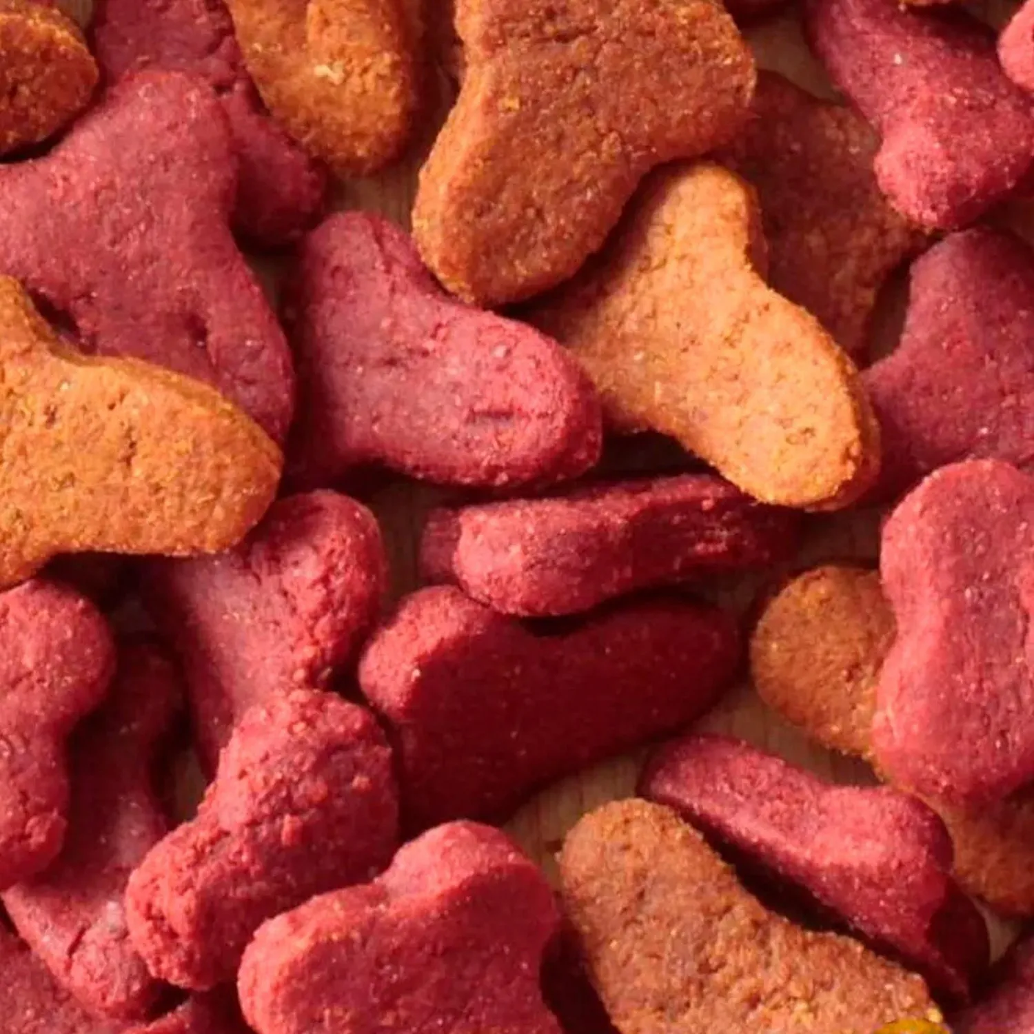 Gomita Omega Gato Perro 1kg