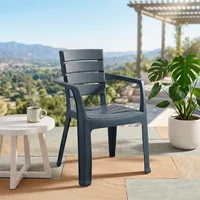 Silla Plástica con Brazos Negro Plat Rimax
