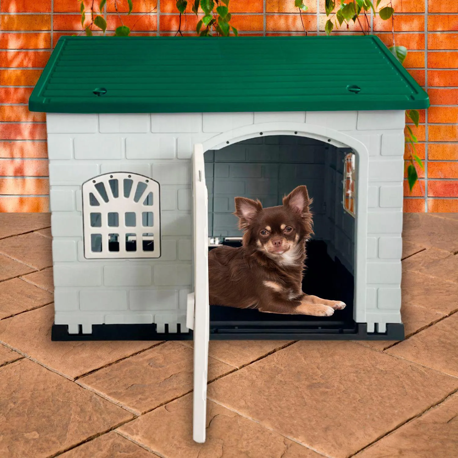 Casa Perro Gato Resistente Rígido Plástico Raza Medina