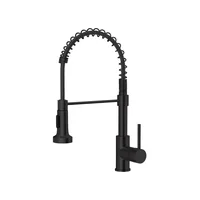Griferia Lavaplatos Monocontrol Flexible Cocina Laton Negro Mate