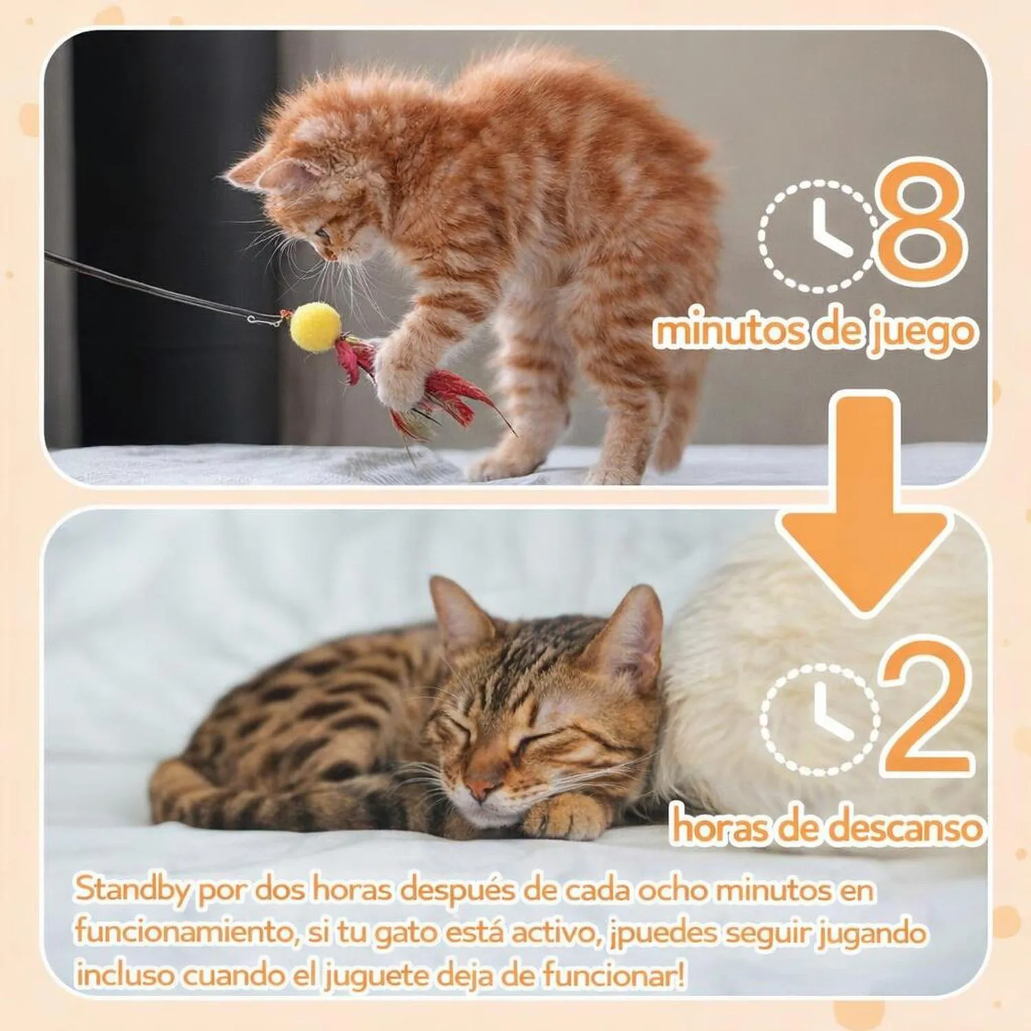 Juguete para Gatos Colgante Automático Plumas Recargable Puerta 3