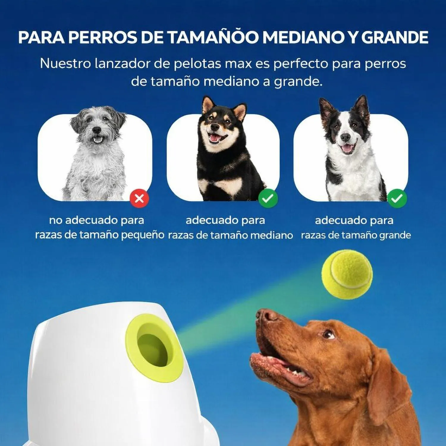 Juguete para Perros Lanzador Automático Interactivo Plástico 6.35 cm All For Paws