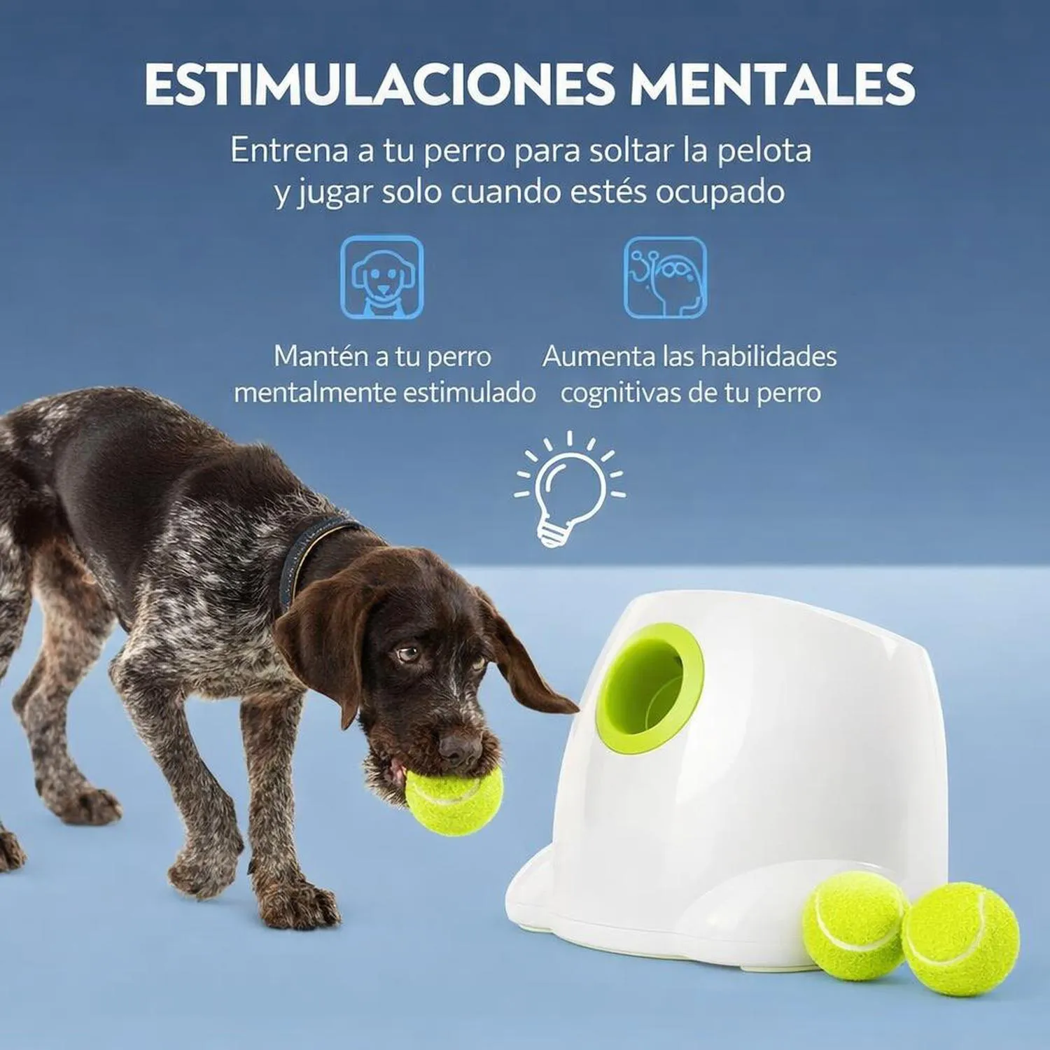 Juguete para Perros Lanzador Automático Interactivo Plástico 6.35 cm All For Paws 3
