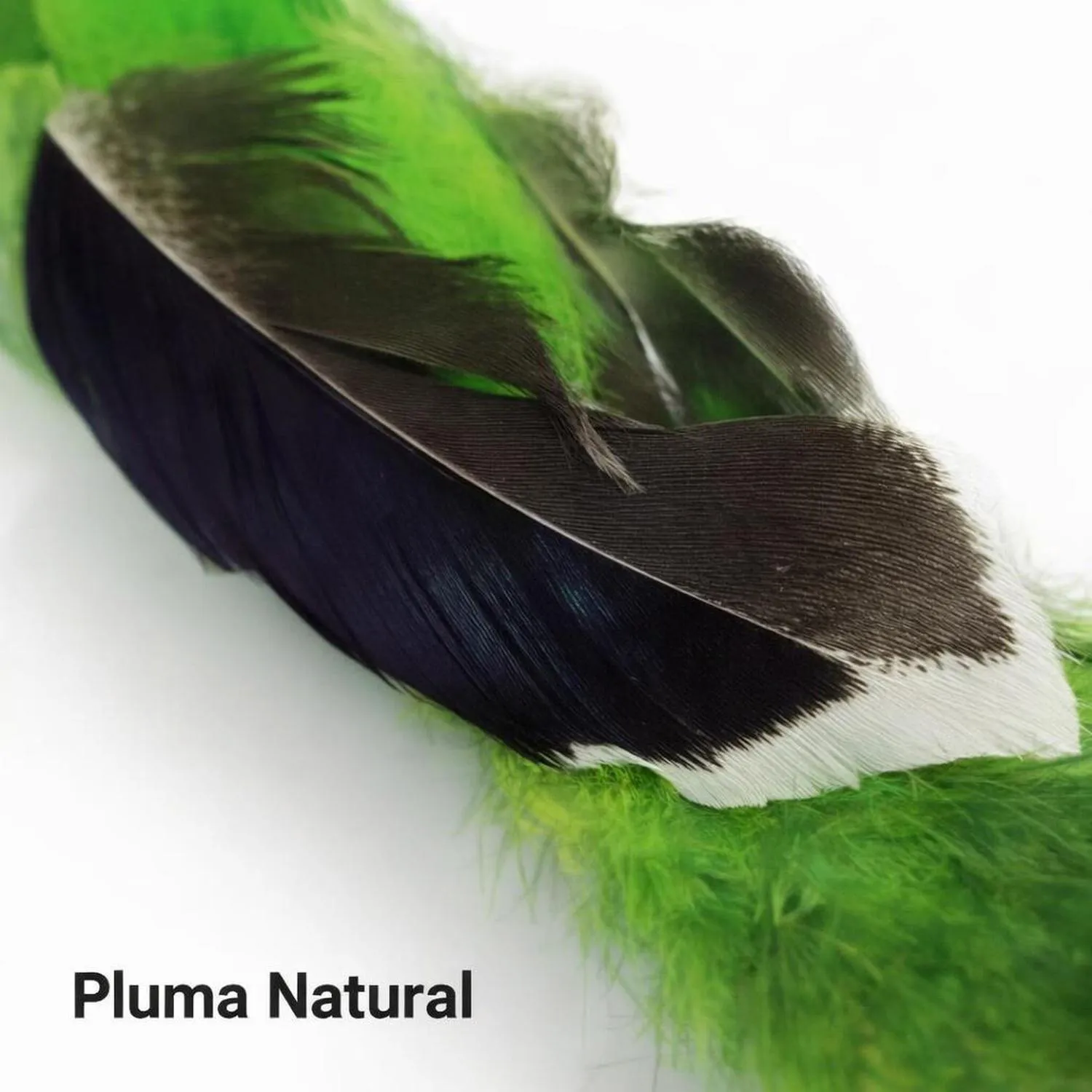 Juguete para Gatos Pájaro Plumas Natural con Campana TTcat 5