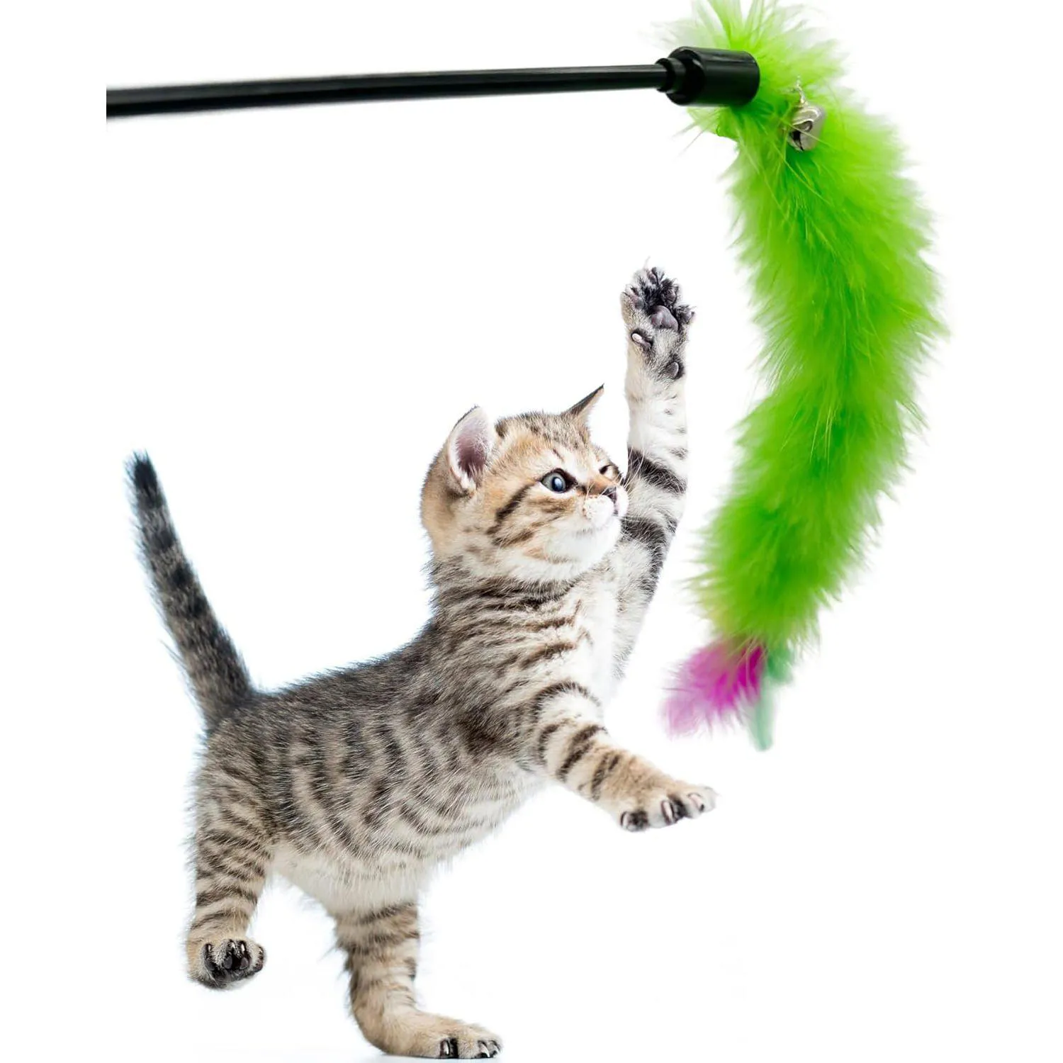 Juguete para Gatos Varita Plumas Interactiva 48 cm Cateneed