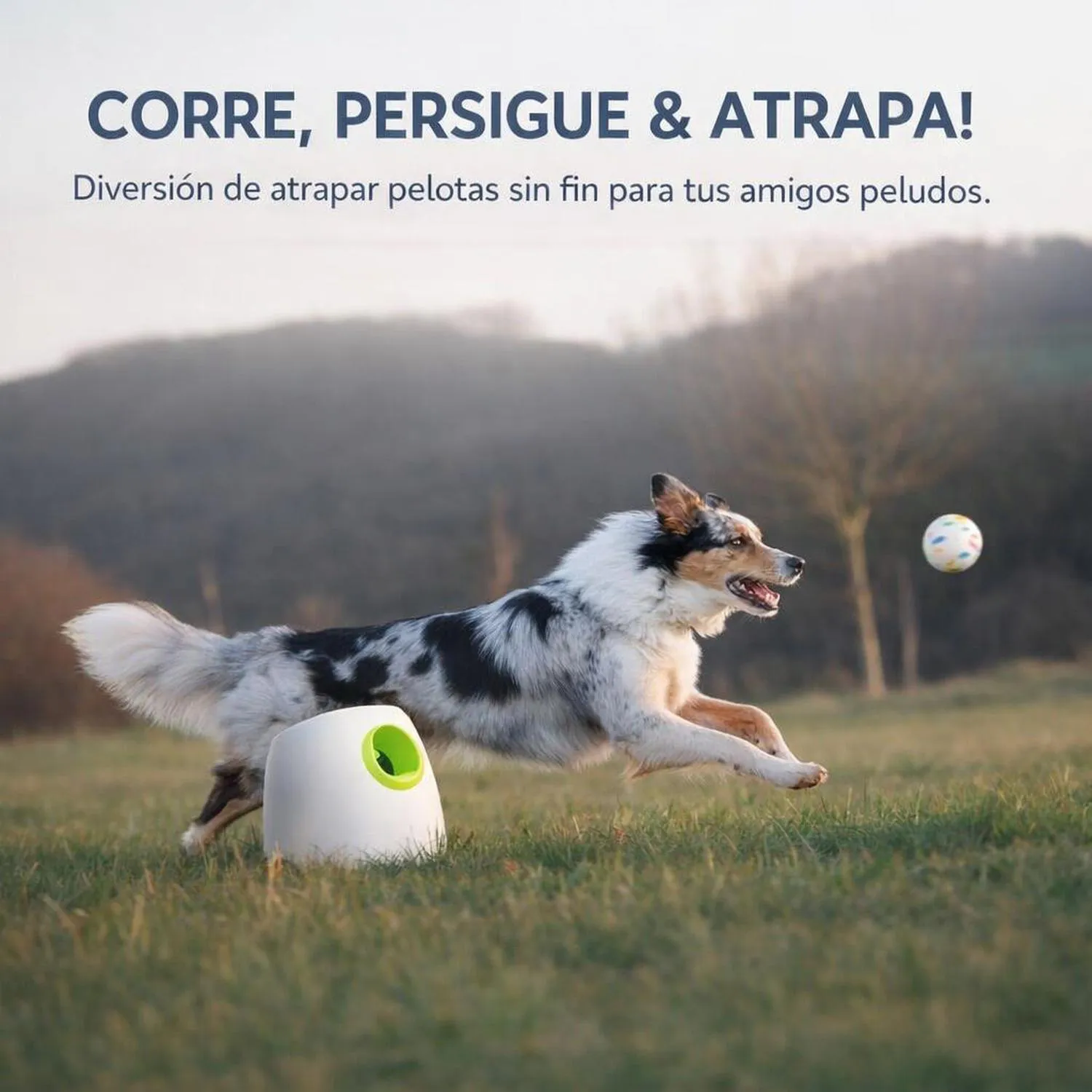 Juguete para Perros Lanzador Automático ETPU 6.35 cm All For Paws