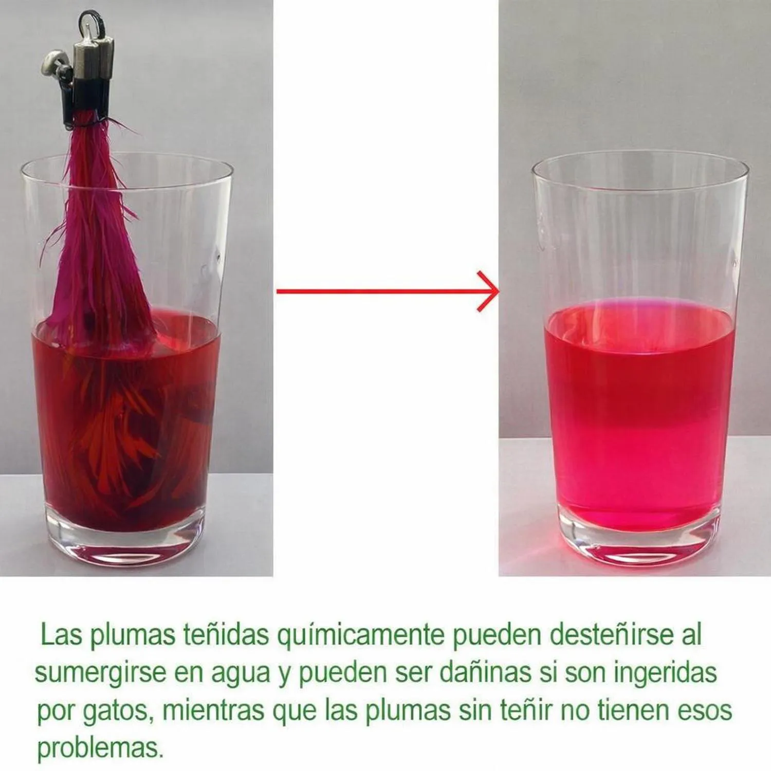 Juguete para Gatos Varita Plumas Natural Interactiva EcoCity 3
