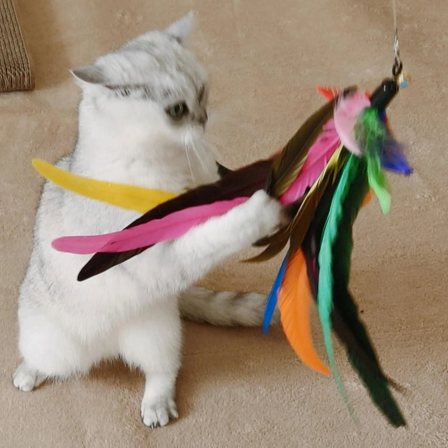 Juguete para Gatos Varita Telescópica Plumas Natural 127 cm Miwoowim 4