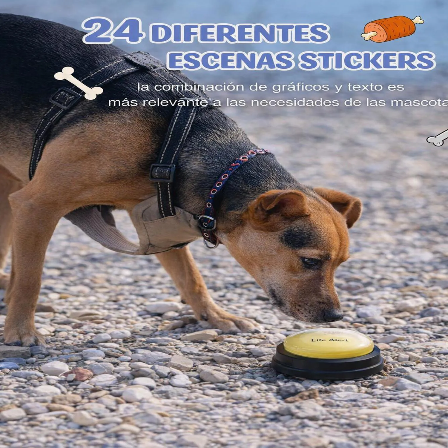 Juguete para Perros Botones Comunicación ABS 6 Unidades Acools 3