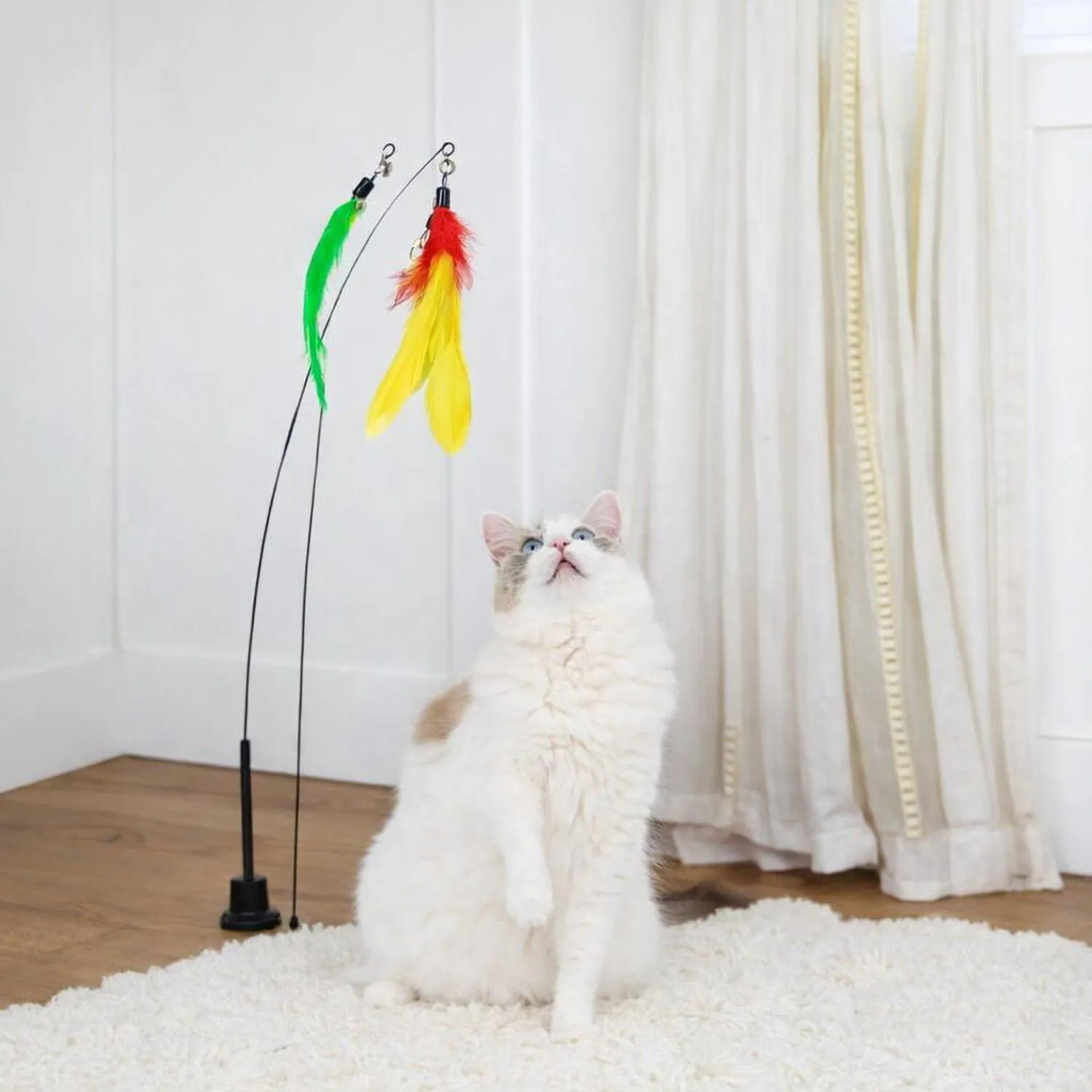 Juguete para Gatos Varita Plumas Ventosa Base Madera 9 Piezas Gadgetsolgy 4
