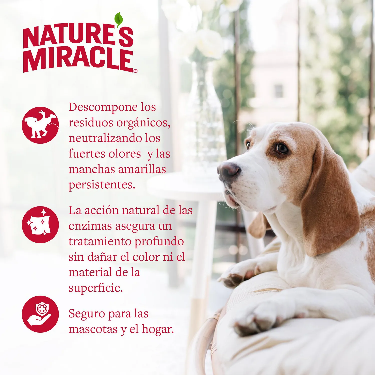 Destructor Orina Plus para Perro 946Ml Natures Miracle 5