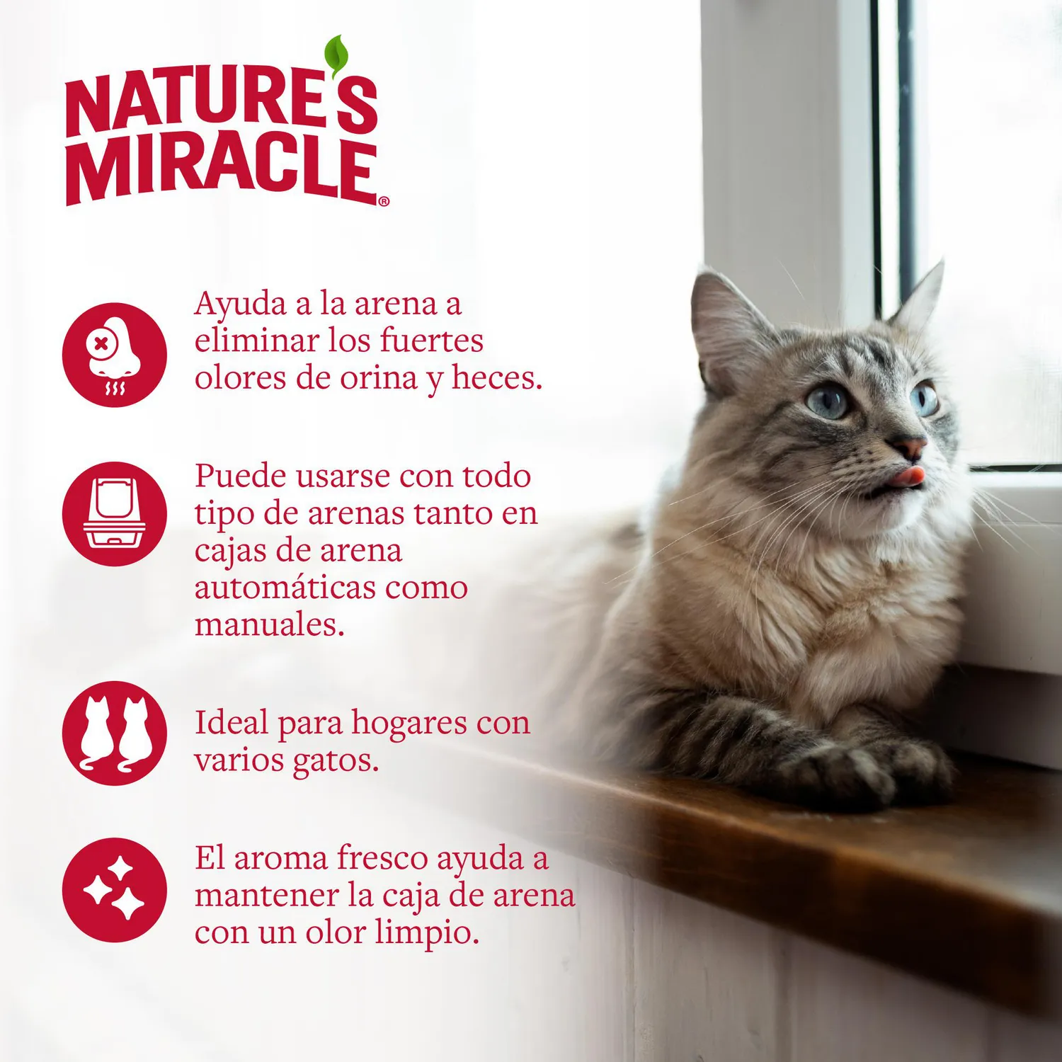 Polvo Destructor De Olores Gato Arenera 567G Natures Miracle 5