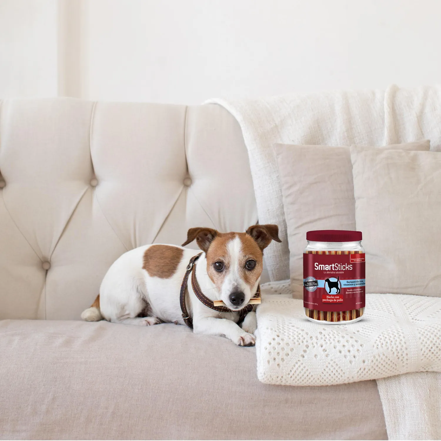 Snack Para Perro Smartbone Bombonera Chicken 45Und