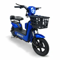Bicicleta Eléctrica Roadmaster 350watts 40km Pantallalcd 48v