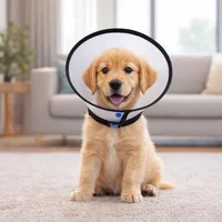 Cuello Isabelino Para Mascotas Ribeteado 1