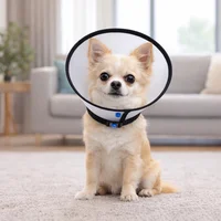 Cuello Isabelino Para Mascotas Ribeteado 3