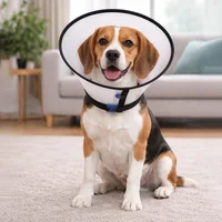 Cuello Isabelino Para Mascotas Ribeteado 4