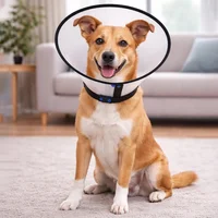 Cuello Isabelino Para Mascotas Ribeteado 5