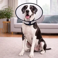 Cuello Isabelino Para Mascotas Ribeteado 9