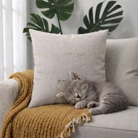 Fundas de Cojines Decorativas Pet Friendly - Vainilla Brillo