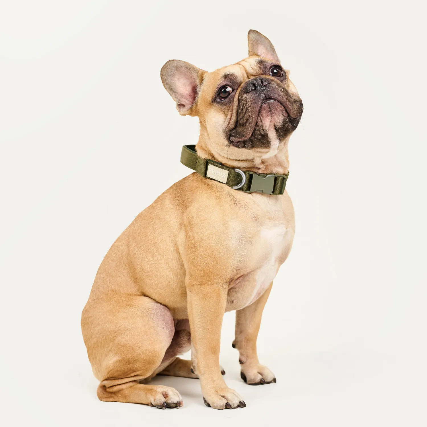 Collar Reata Basic Verde Militar Talla Xs