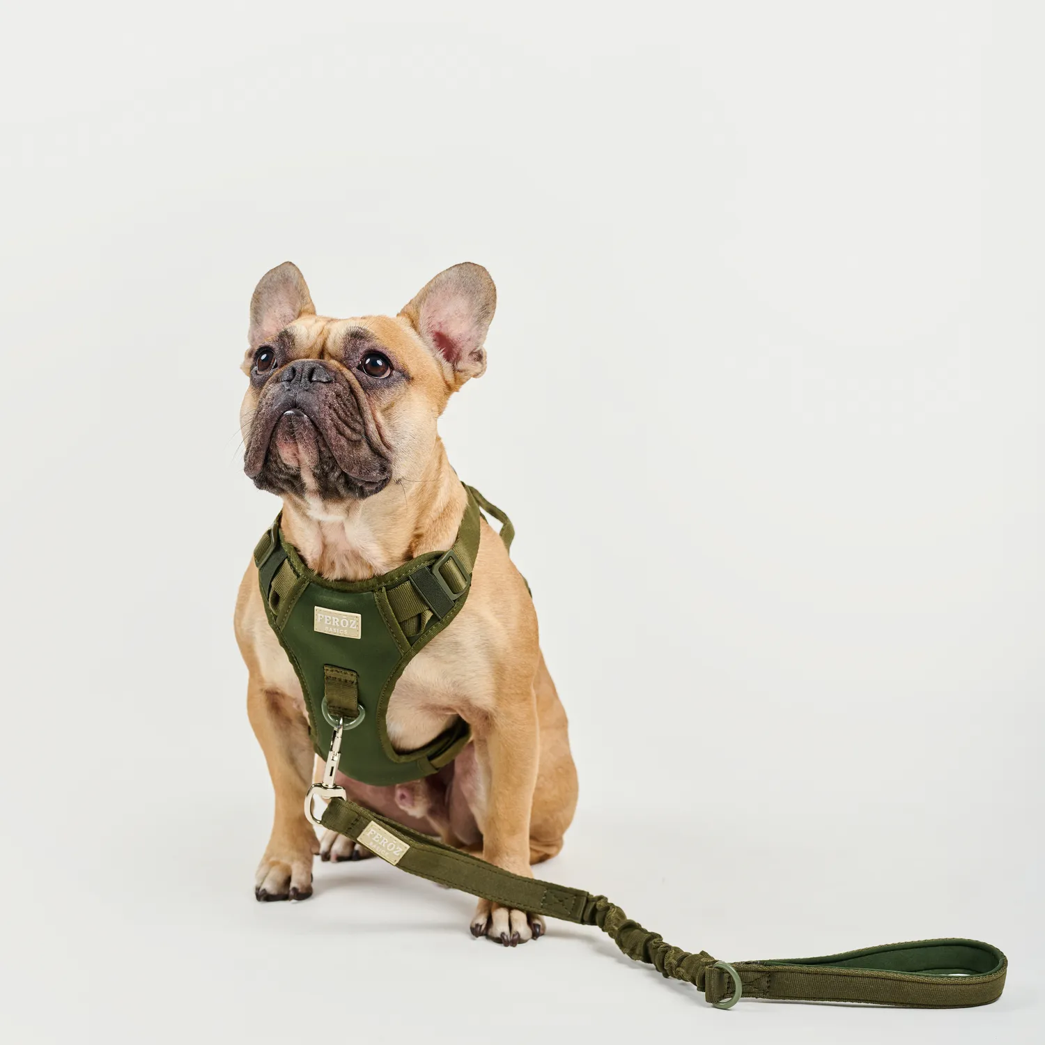 Arnés Deportivo Basic Verde Militar Talla L 4