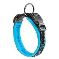 Collar Para Perro Sport Dog C20/43 Azul