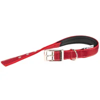 Collar Para Perro Daytona Deluxe C25/45 Rojo