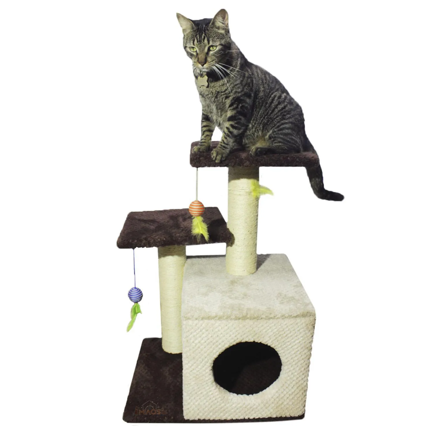 Gimnasio Rascador Para Gatos Con Sofá 70X48X38