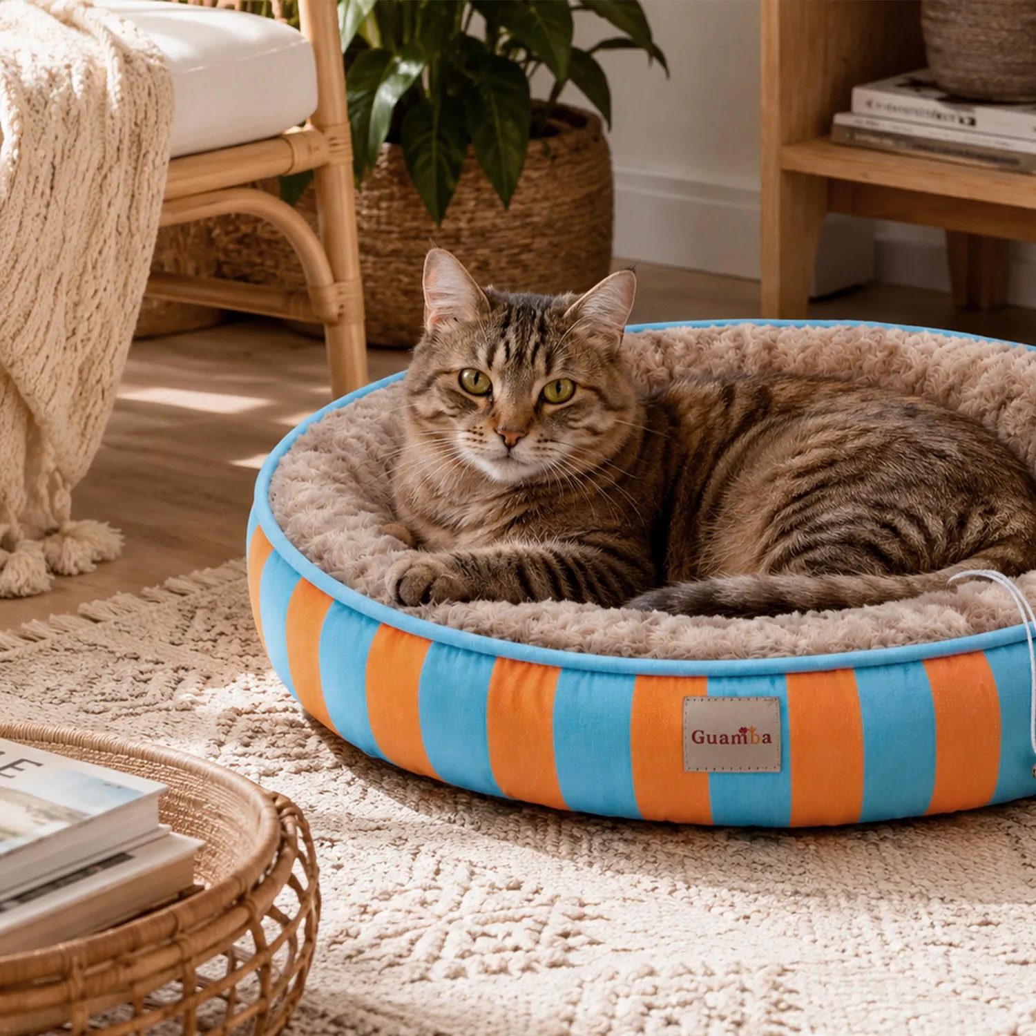 Cama Gato Funny 48 Cm Azul