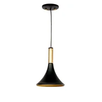 Lámpara de Techo Campagna Negro 1 Luz E27 Producto Certificado