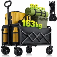 Carretilla Amkurozo 100 kg Acero Plegable