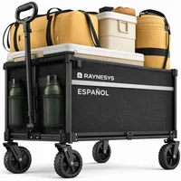 Carretilla Raynesys 100 kg Acero Plegable