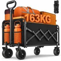 Carretilla TATAANTY 163 kg Acero Tipo Plegable