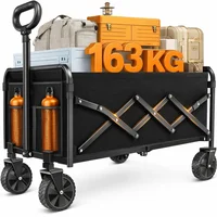 Carretilla ARTIST'S DREAM 163 kg Acero Aleado Tipo Plegable