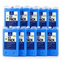 Kit x 10 Pila Frío 750ml Congelados -18 -20°c Sustituto Hielo Seco