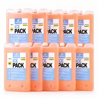 Kit x 10 Pila Frío 750ml 2°c a 8°c Sustituto Hielo Seco