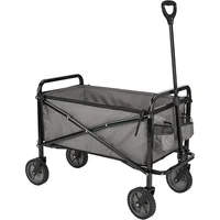 Carretilla Basics 120 kg Plástico Plegable Utilitaria