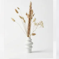 Jarrón Decorativo Merlin Con Pampas Decorativas