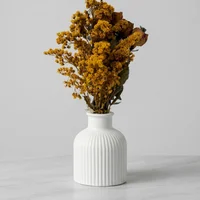 Jarrón Decorativo Kaleth Blanco 8x11cms Con Flores Preservadas