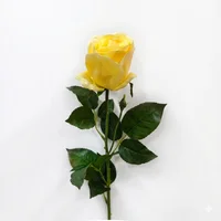 Rosa Real Amarilla Con Hojitas 68cm