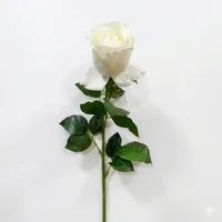 Rosa Real Blanca Con Hojitas 68cm