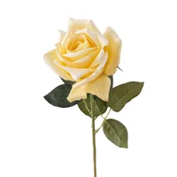 Rosa Real Amarilla 65cm