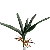 Hoja de Orquidea 33 cm x 5