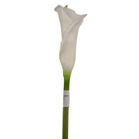 Cala Lirio Cartucho 63 cm Blanco