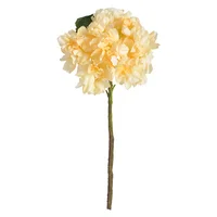 Hortencia Antique 35 cm x 1 Champaña