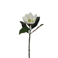 Eva Magnolia de 63 cm x 1 Blanca