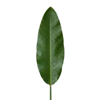 Hoja de Banano x 1 103cm