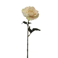 Rosa Blanca 65cm