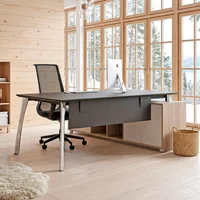 Puesto de Trabajo Con Credenza Combinado Pata Plateada